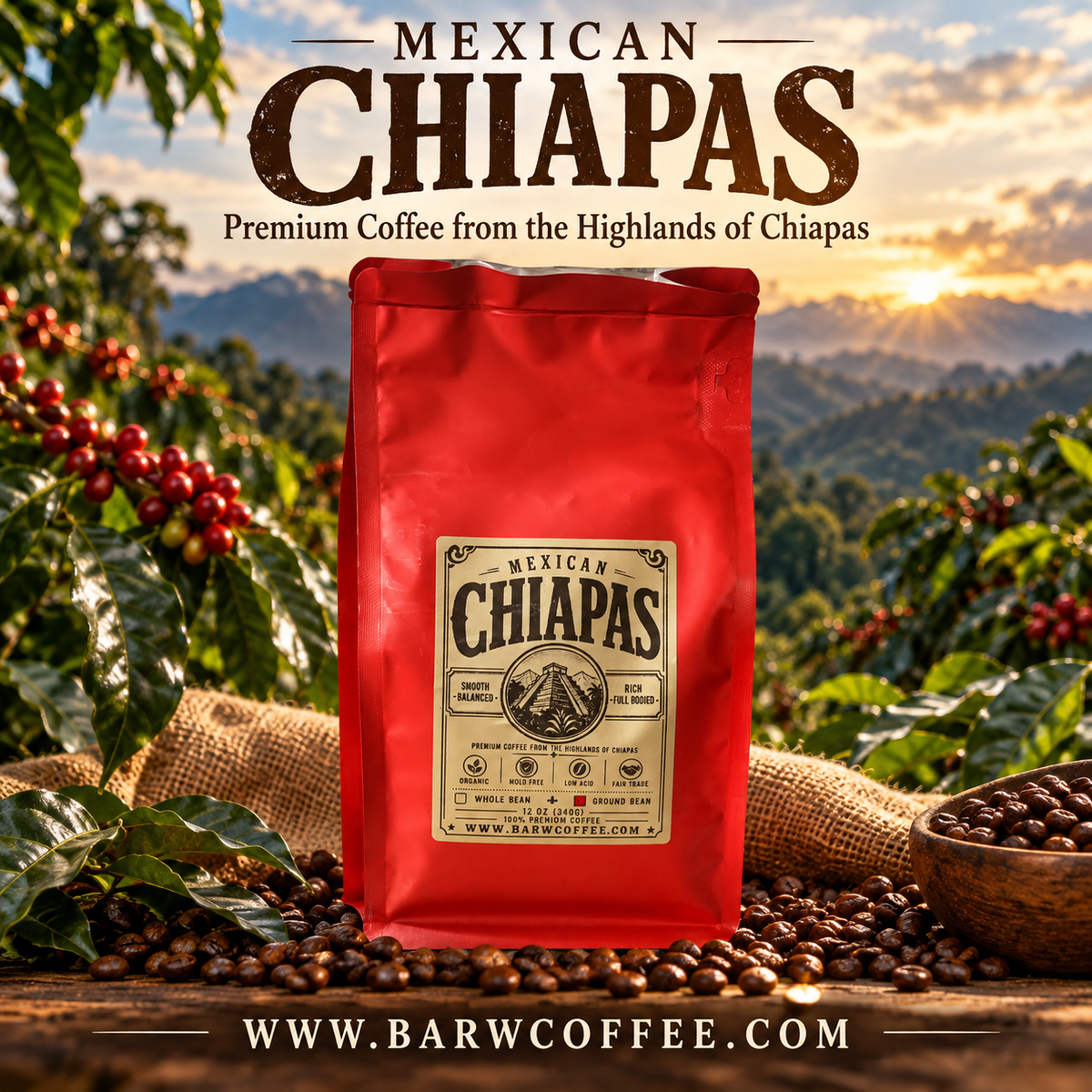 Mexican Chiapas Medium Roast *WHOLE BEANS* 12oz Organic